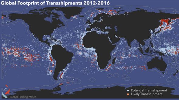 peta transhipment di dunia